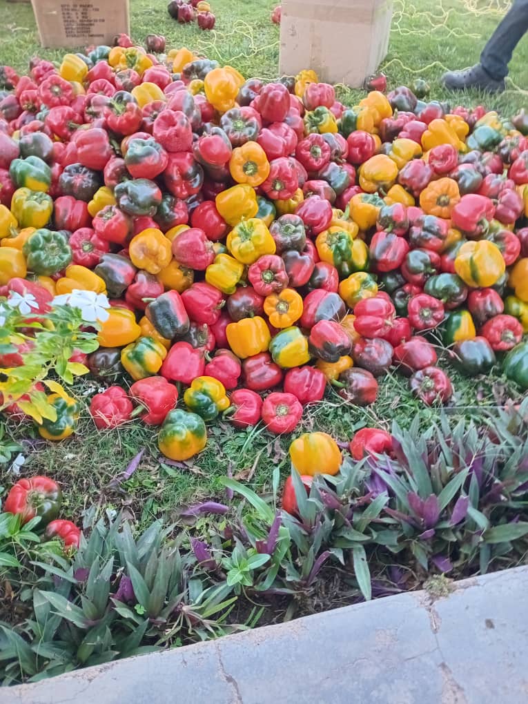 Produce from a horticulture activity